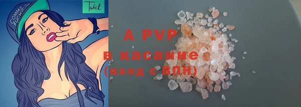 сатива Баксан