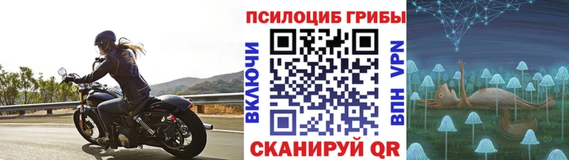Купить закладки  Велиж  Галлюциногенные грибы GOLDEN TEACHER 